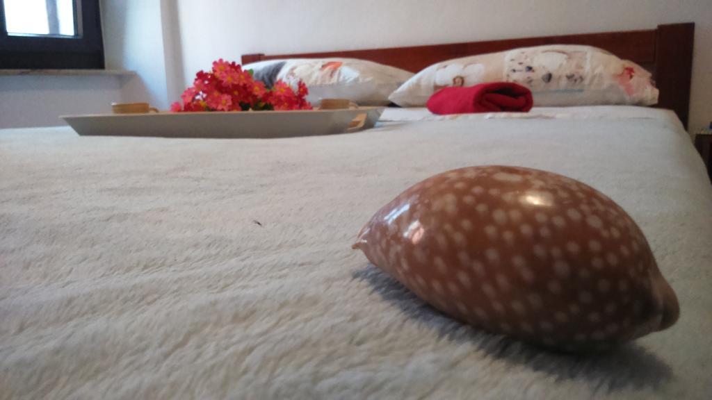 Apartment Vladka イゾラ エクステリア 写真